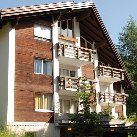 Charming And Cosy Apartment Mürren Екстериор снимка