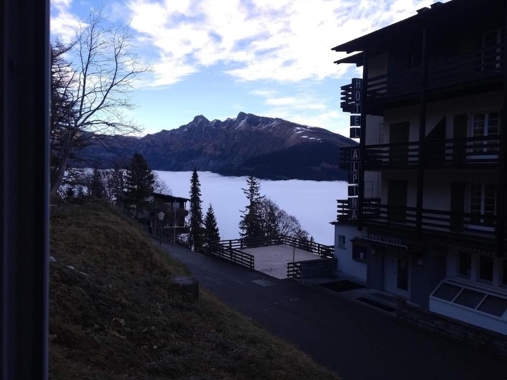 Charming And Cosy Apartment Mürren Екстериор снимка